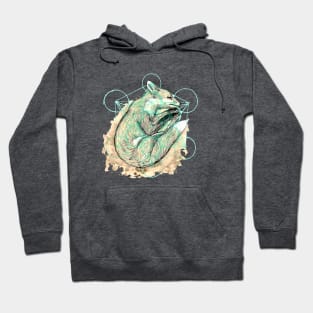 Sleeping Fox Hoodie